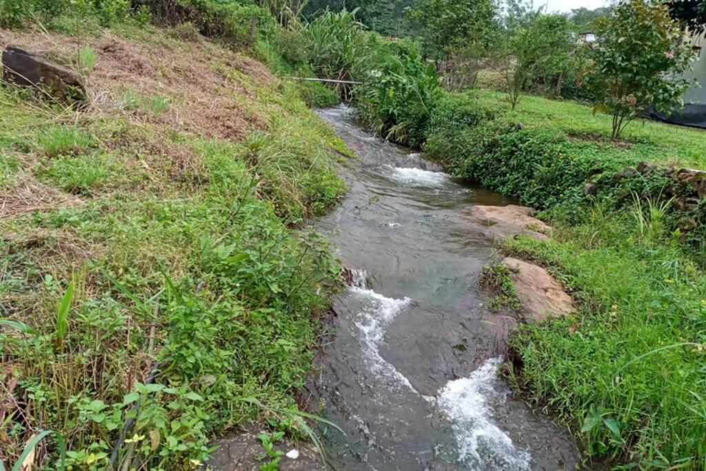 Farmstay In ചില്ലുകൂടാരം At Les Domki Et Al. Vagamon Exterior foto